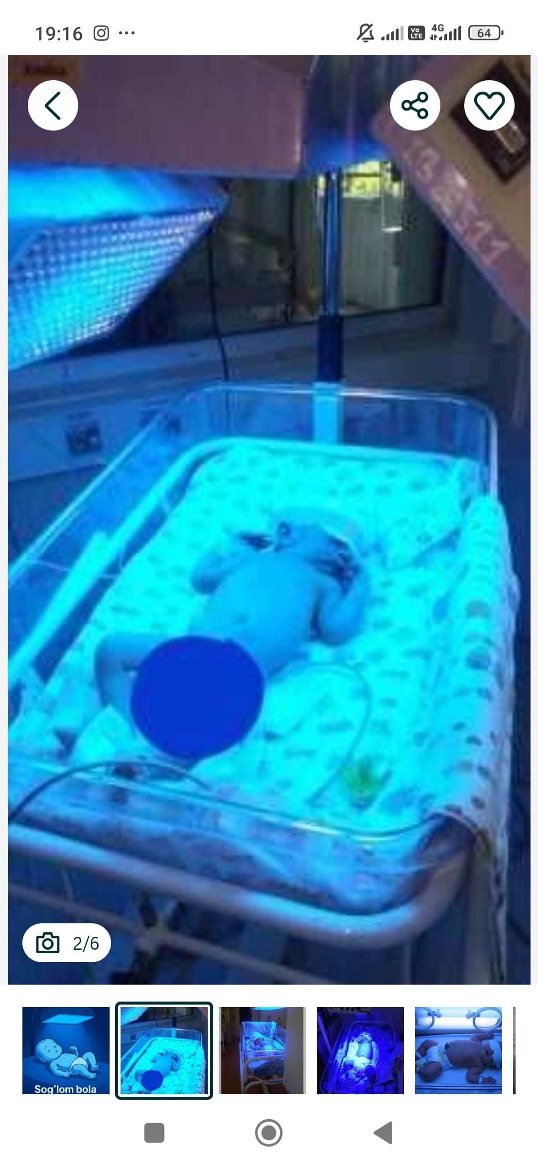 Bilirubin apparati