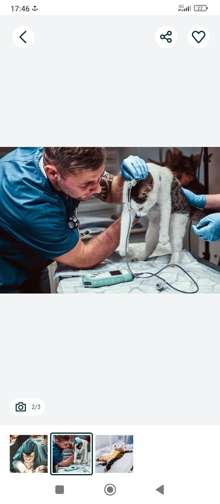 Malakali veterinariya xizmati