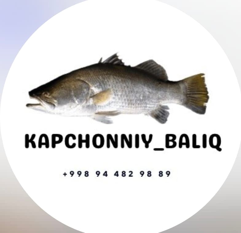 Kapchonniy balıq