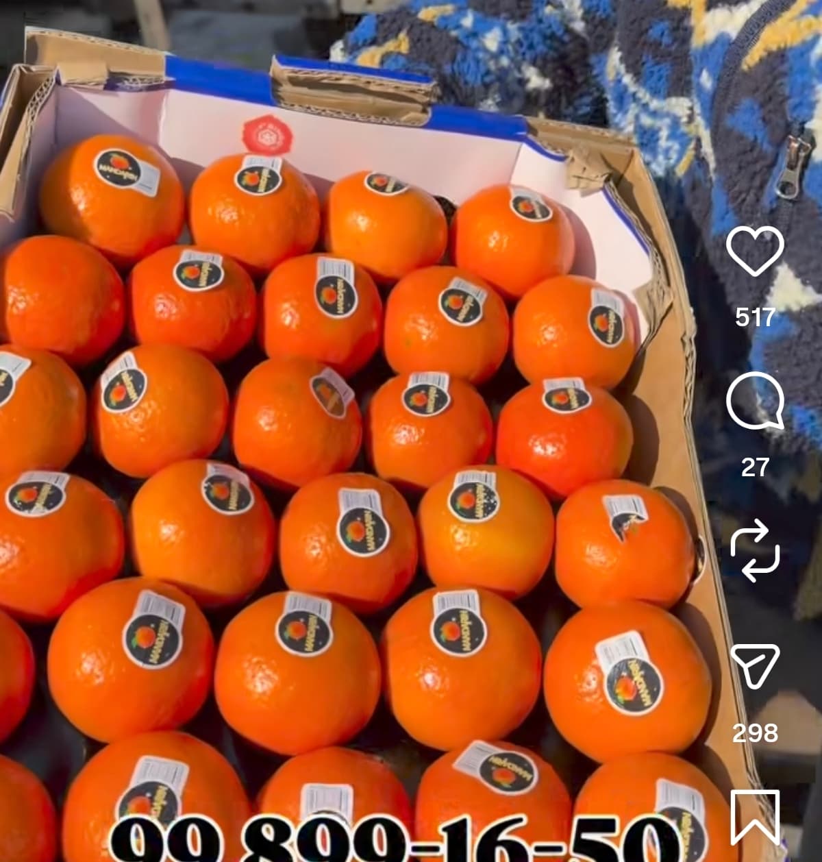 Toshkent mevalari Ekzotik sabzavotlar