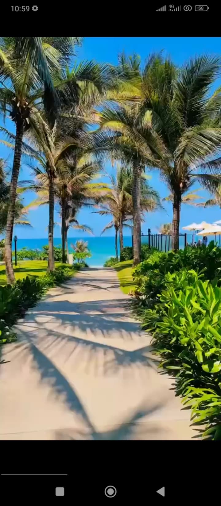 Vyetnam Nhan Trang TO'LOV ORQALI REKLAMA