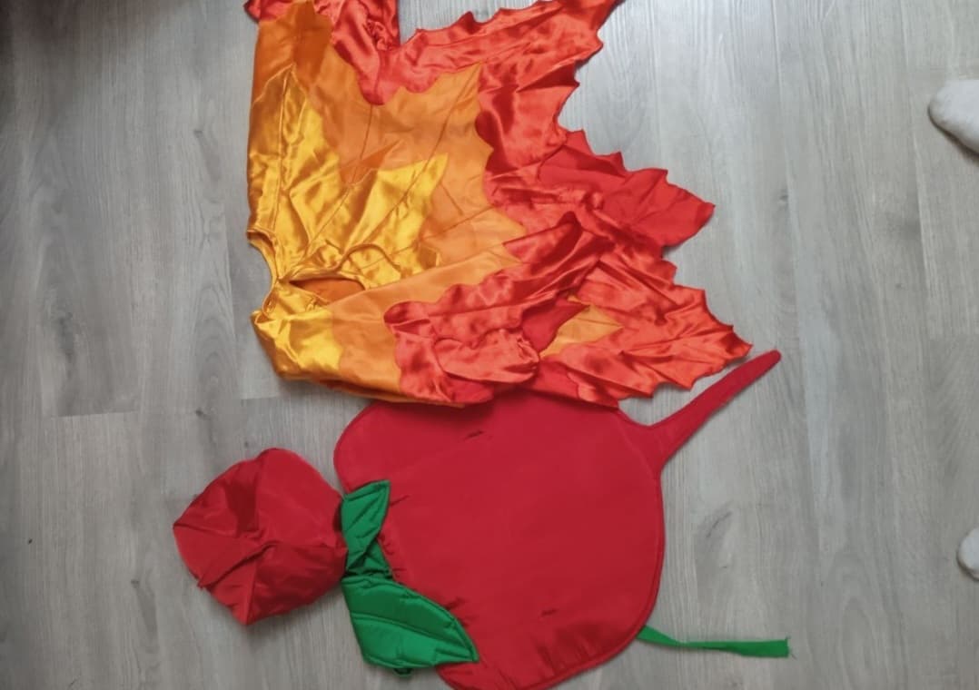 Karnaval kiyim ijarasi