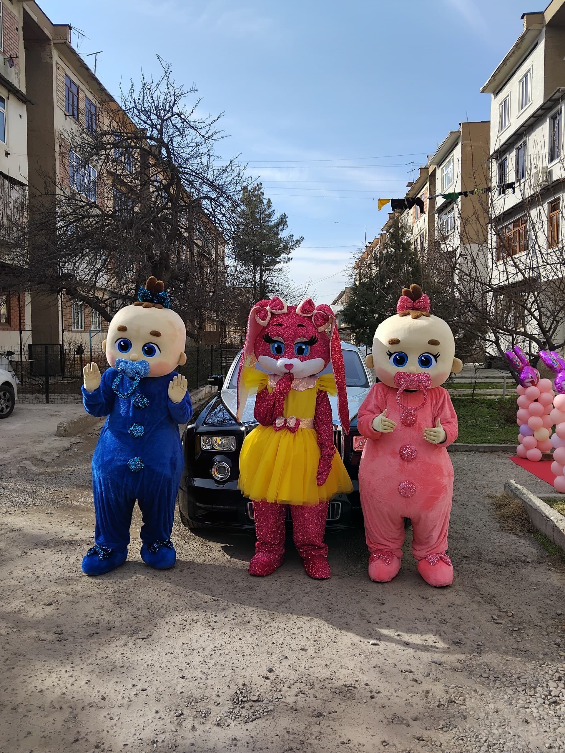 Skdka to Bear Animals