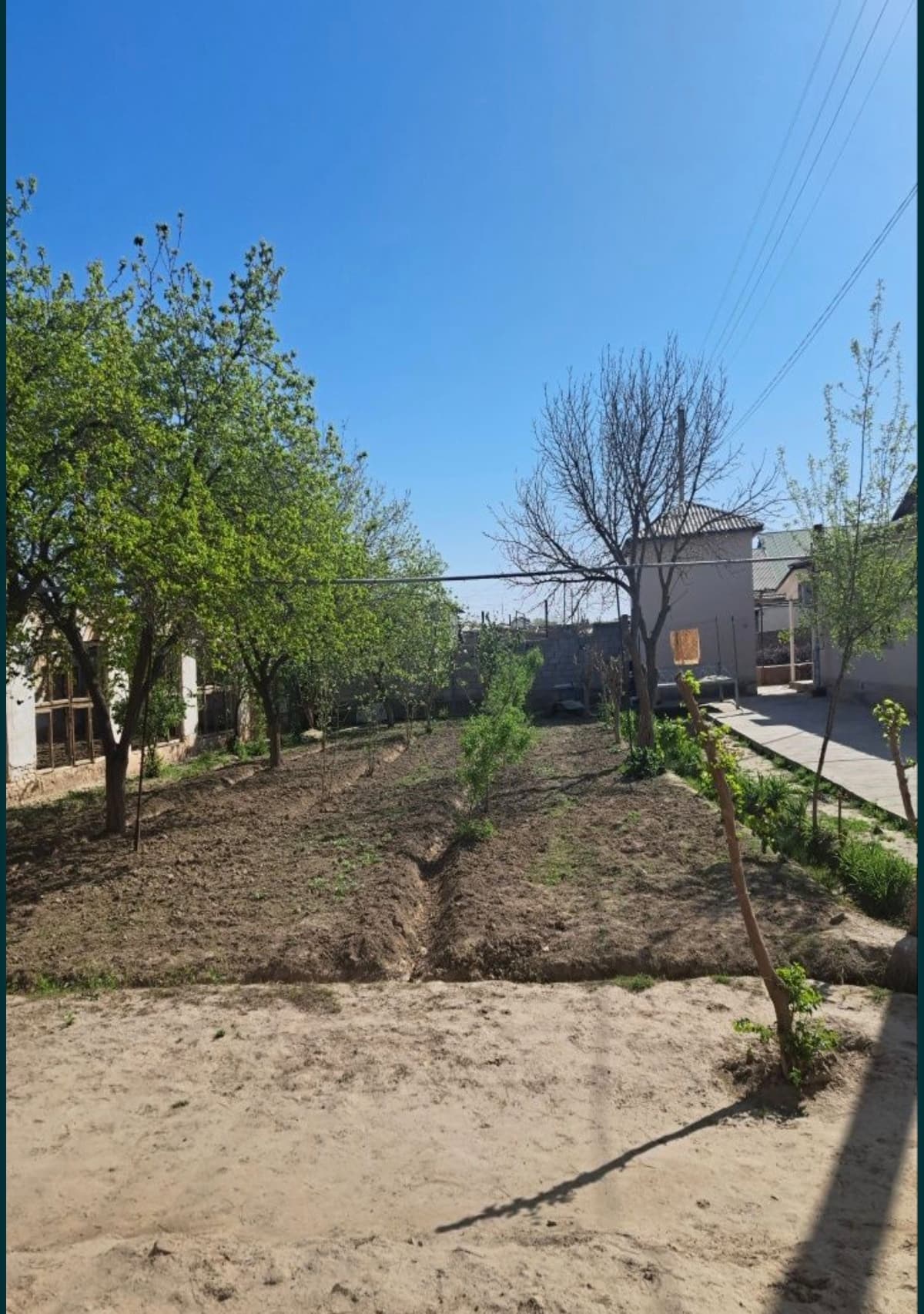 Limonariyada yer sotiladi