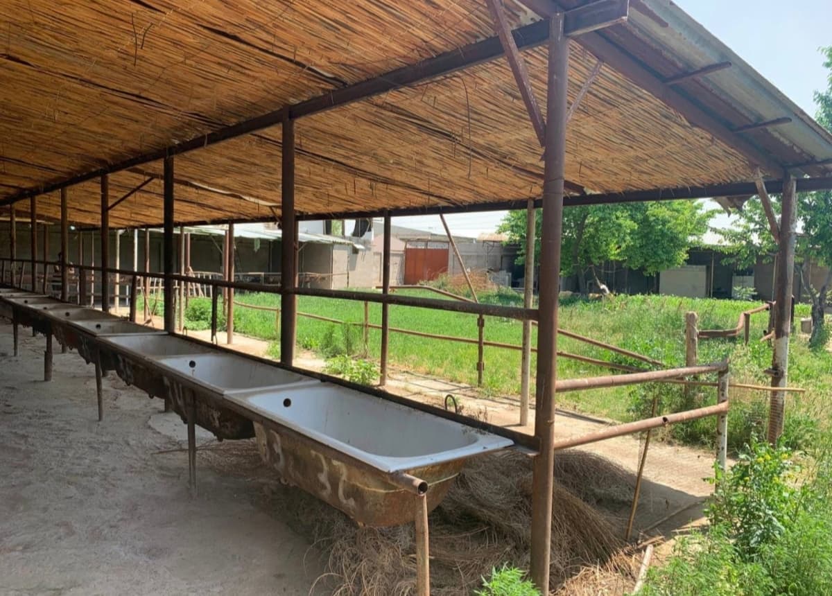 Tayyor ferma sotiladi. Kelishilgan narxga.