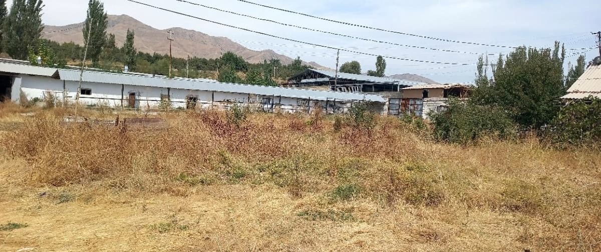 Ferma sotiladi .daca zona