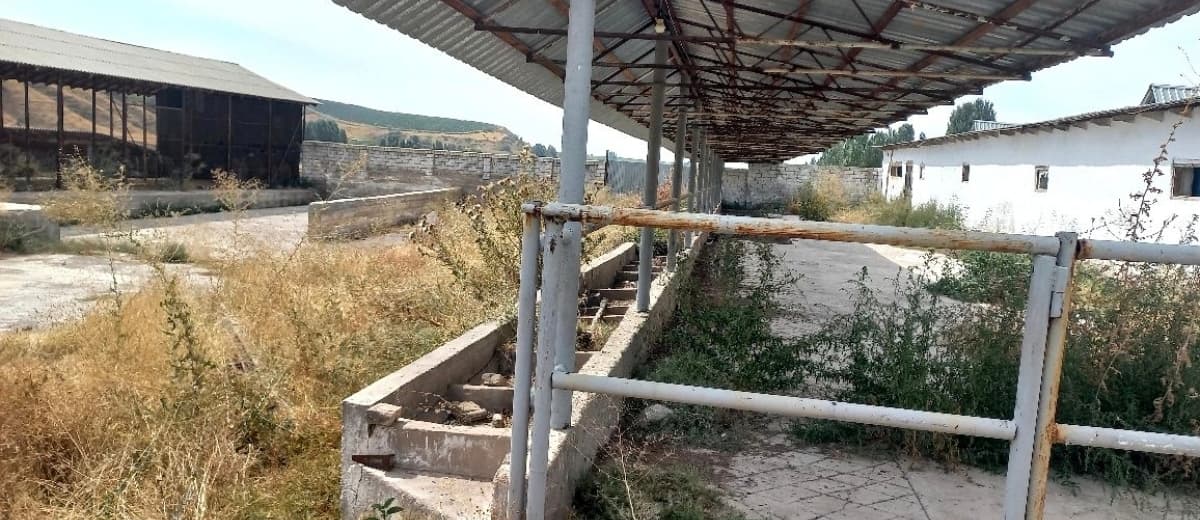 Ferma sotiladi .daca zona