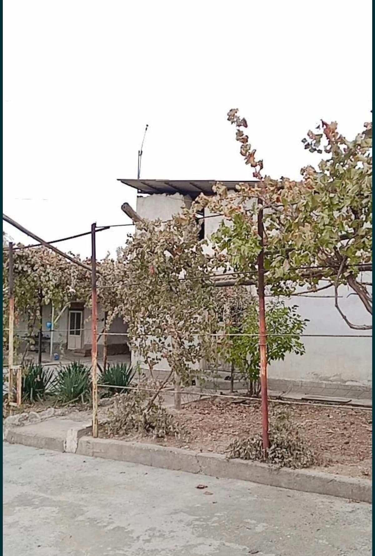 1.27 gektar maydonga ega tayyor ferma shoshilinch ravishda sotiladi.