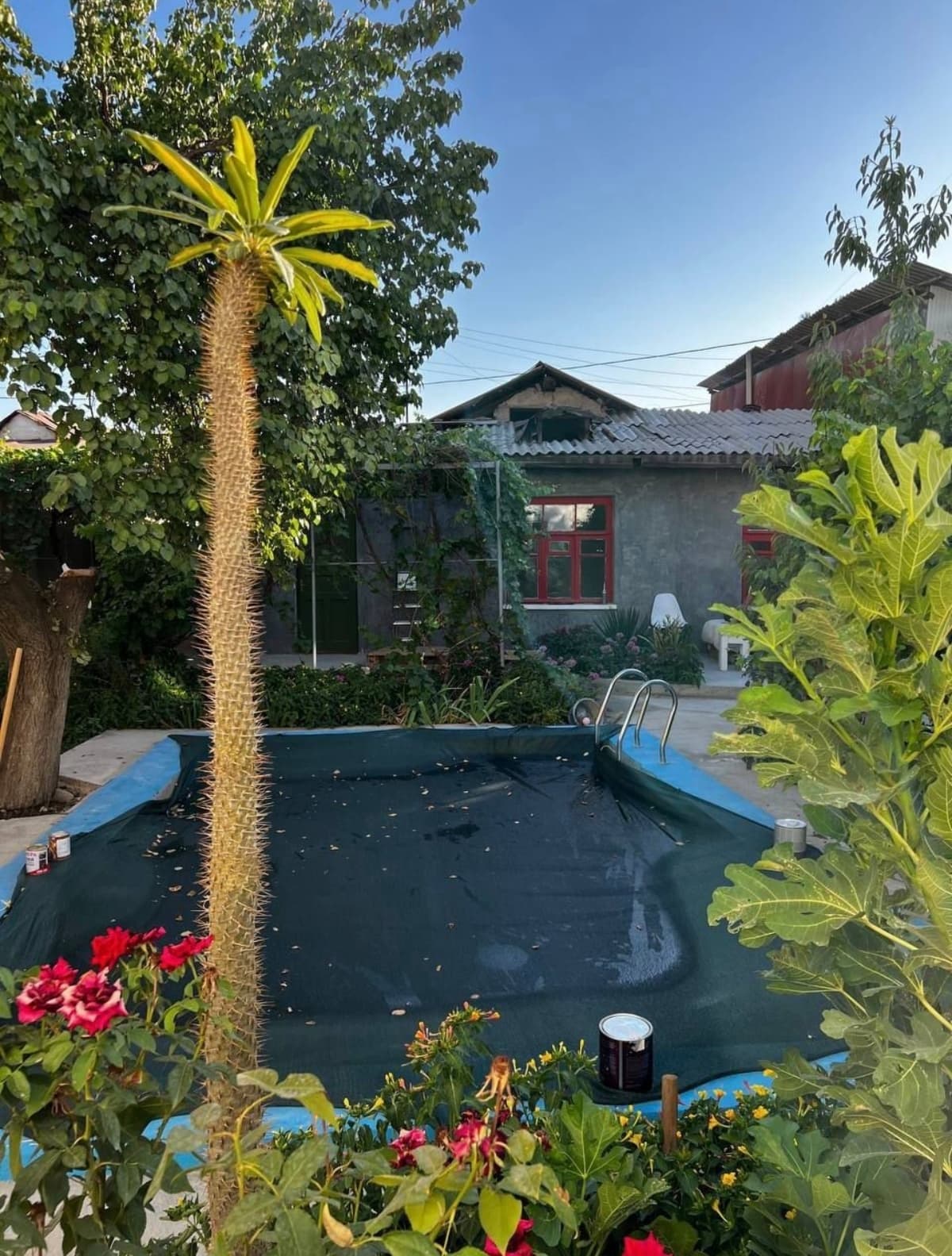 Plot with two houses Yashnabad district