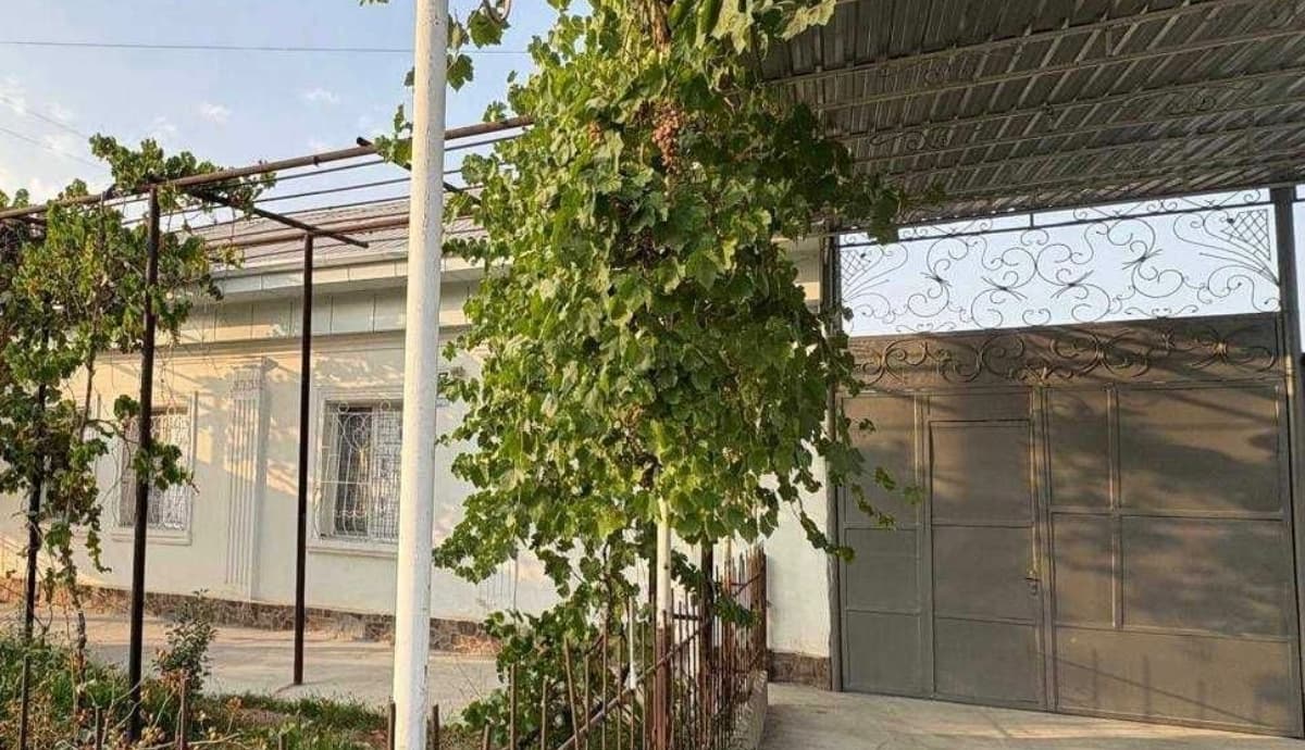 Uy, 5 akr, 9 xona. Mahalya Yangi Say, Tekstilka. Barcha qulayliklar.