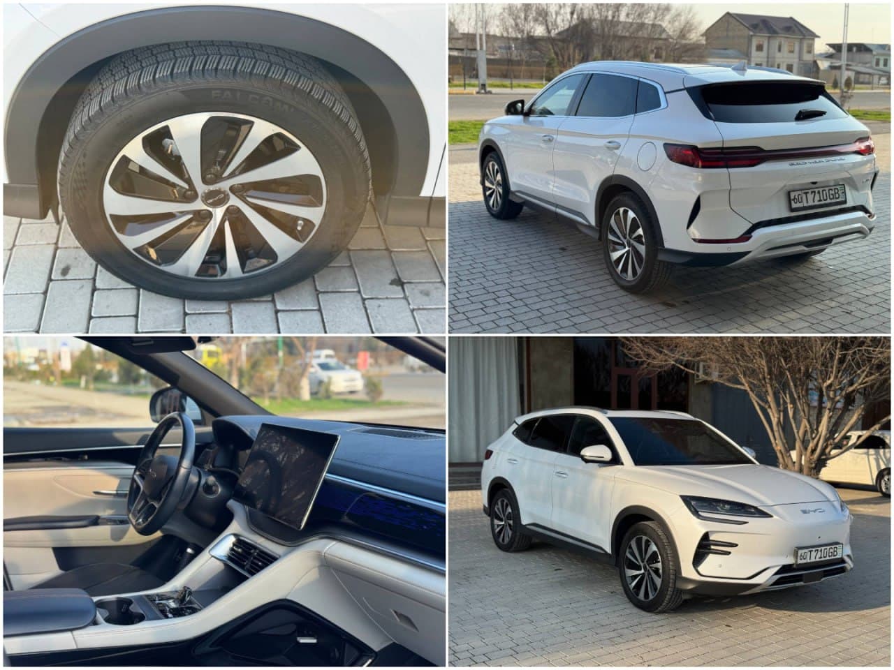 Чемпион BYD 2024 года