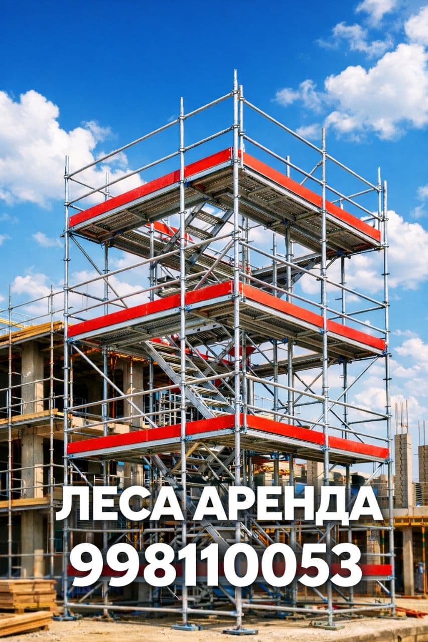 Леса сдается в аренду