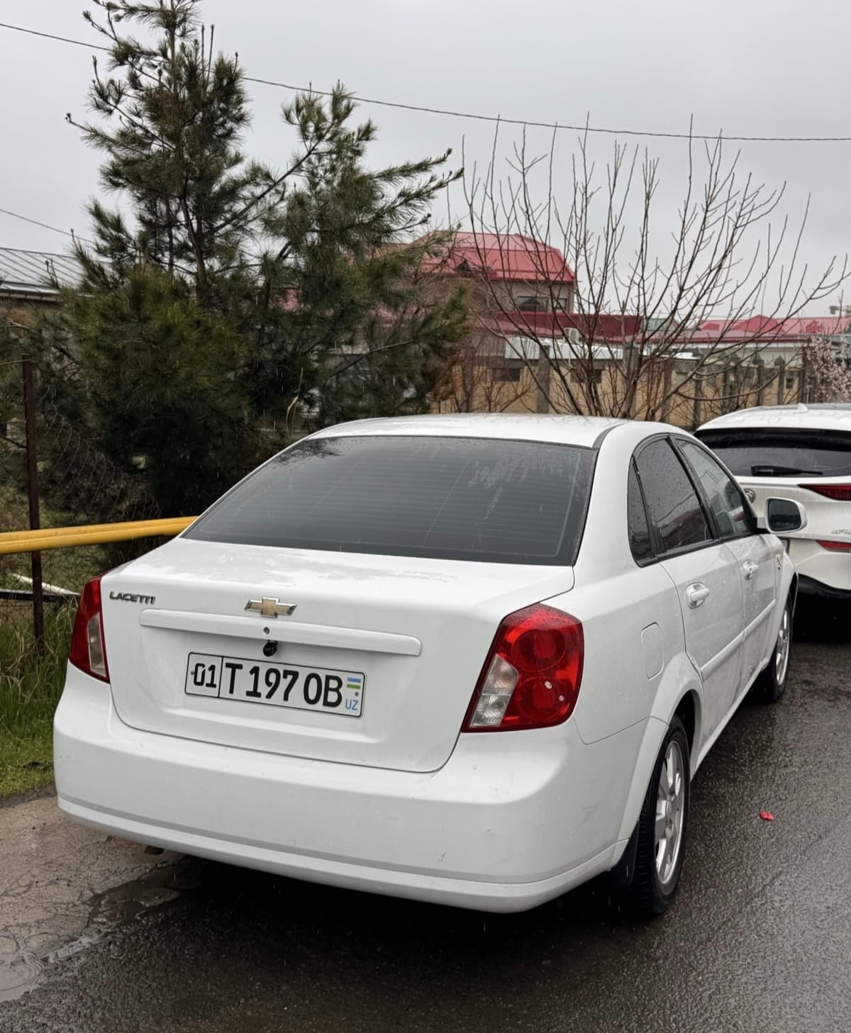 Jentra 2019 kraska bor