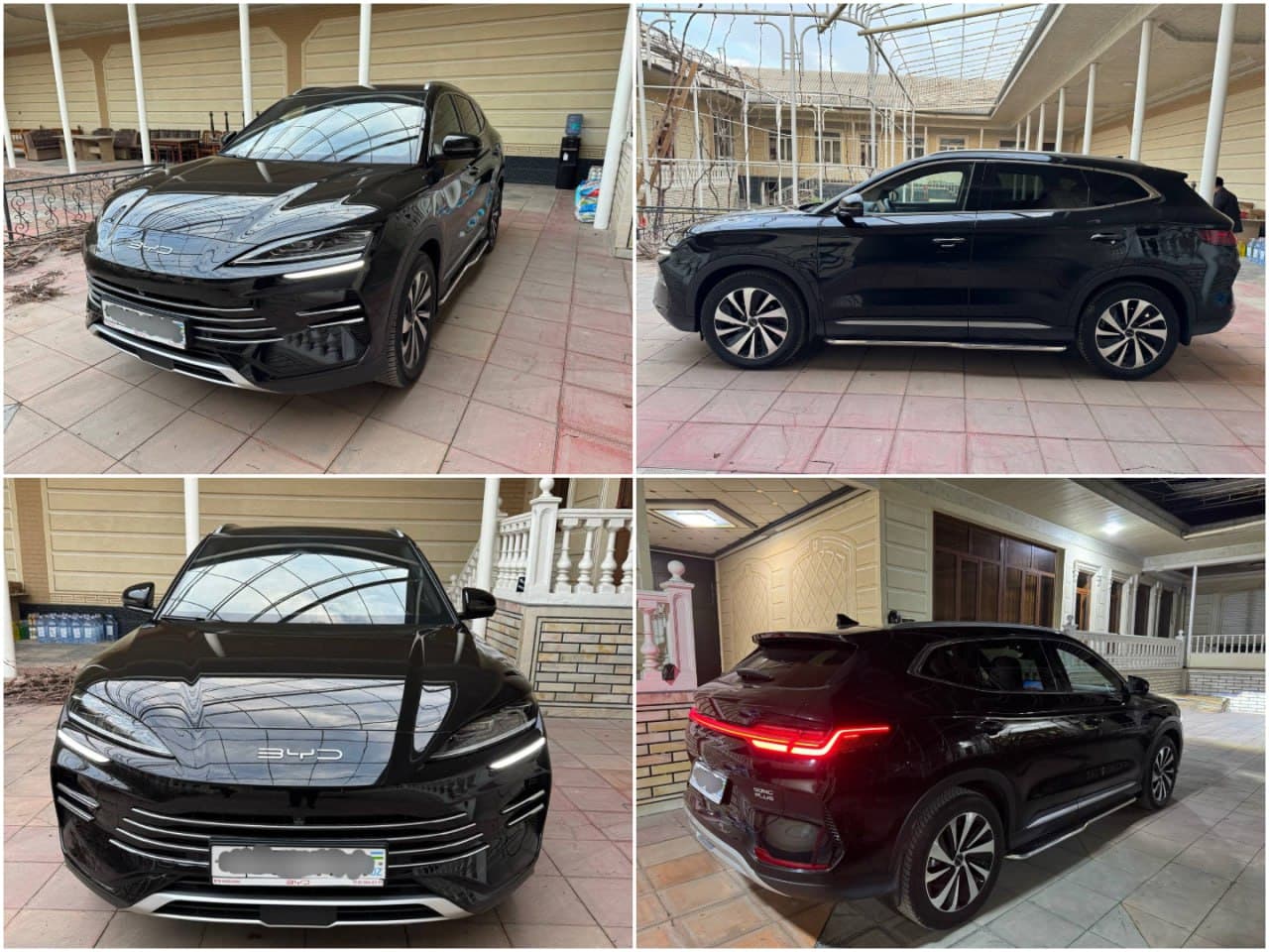 BYD Champion Hybrid Full