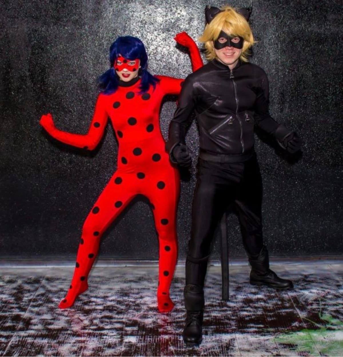 Ladybug va Super Cat. Tug'ilgan kunlar uchun animatorlar.