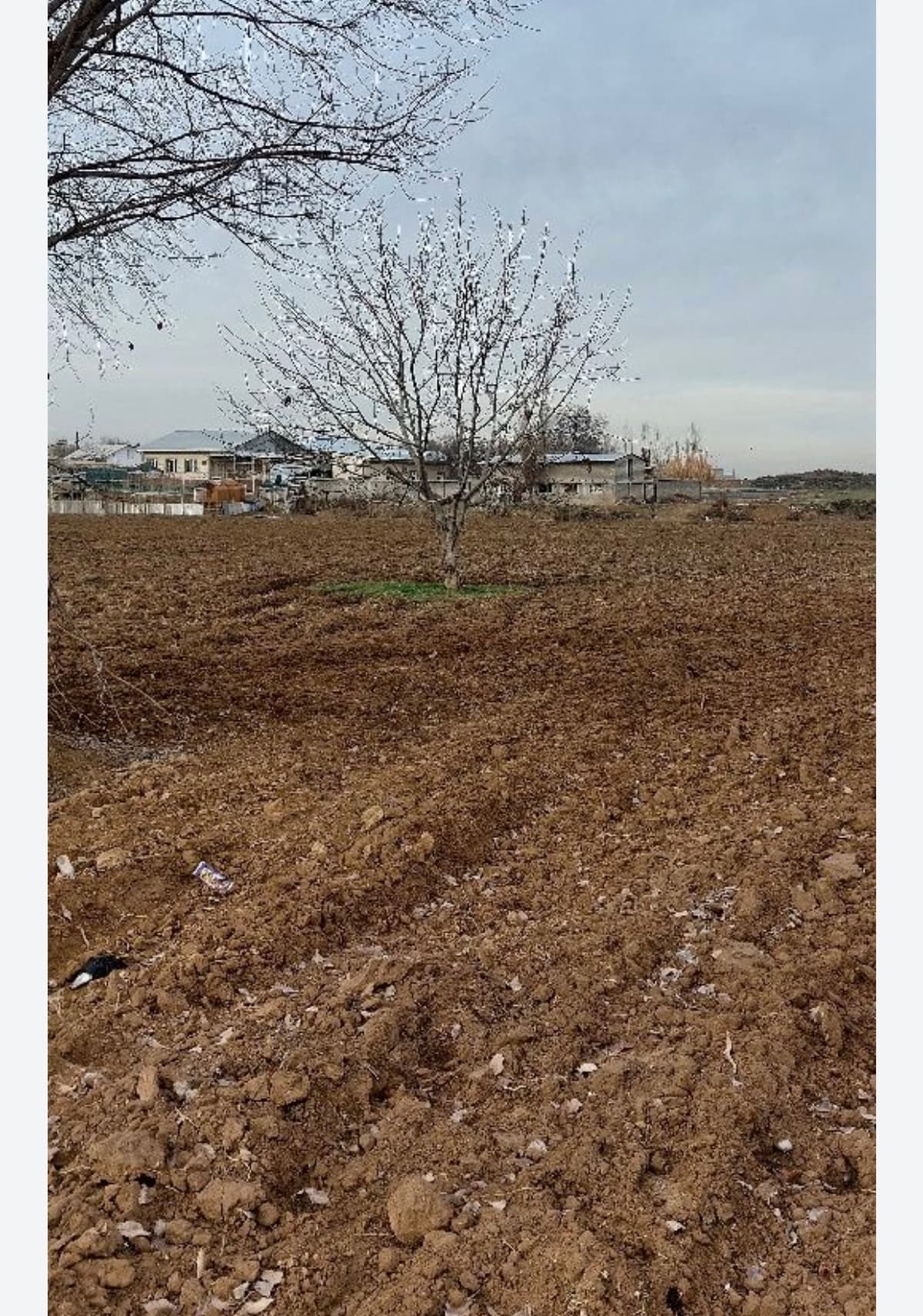 Er ijaraga beriladi 60 sotih yoki hamkorlikda ekin ekamiz.