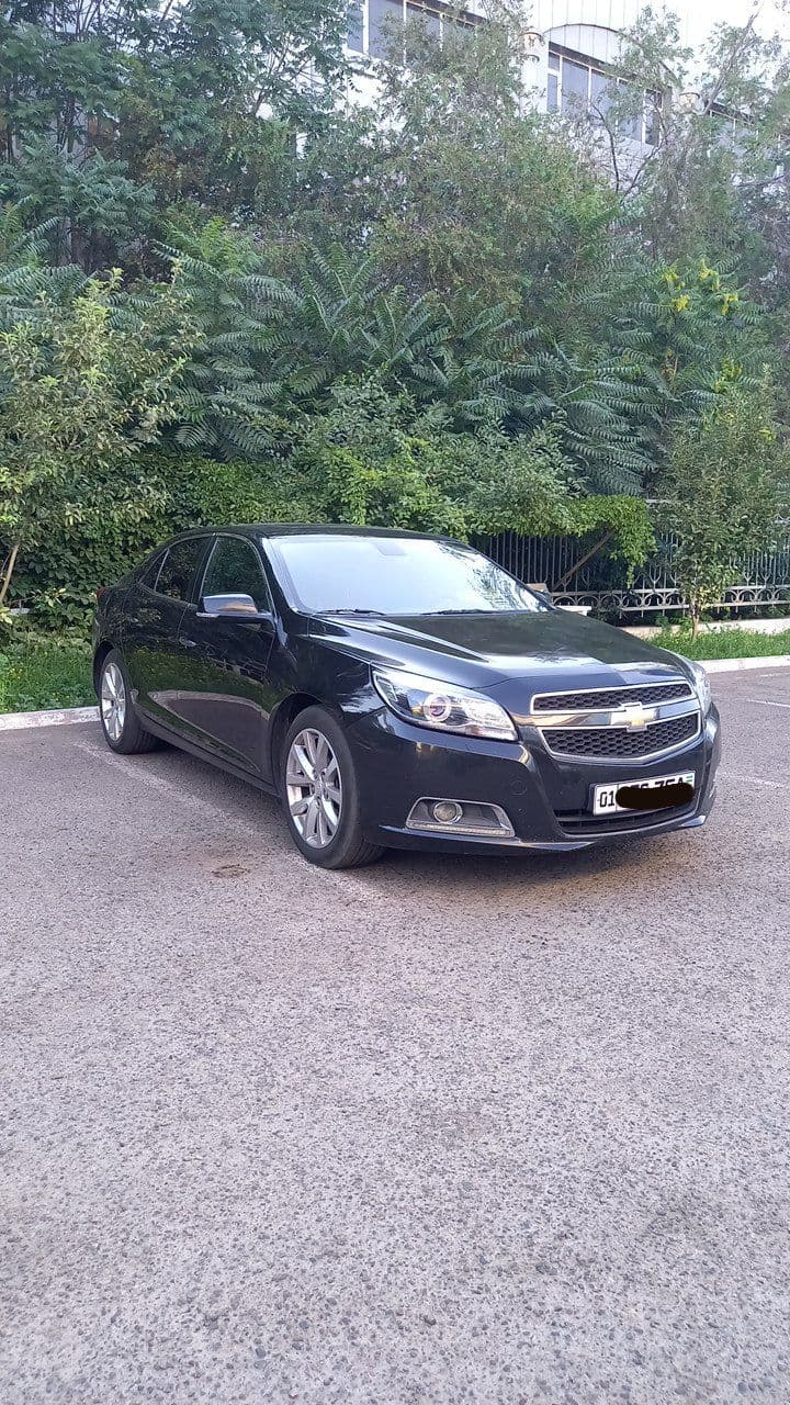MALIBU 1 quruq ijarasi
