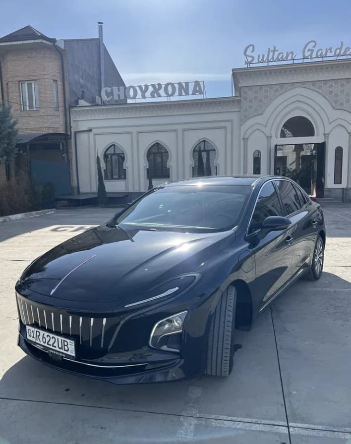 Hongqi Eqm-5 450km 16,900$