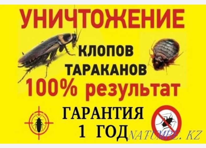 Служба дезинфекции в Ташкенте и Таш обл