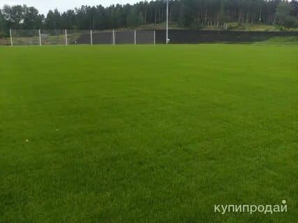 Mini Polya We rent hourly 200 thousand
