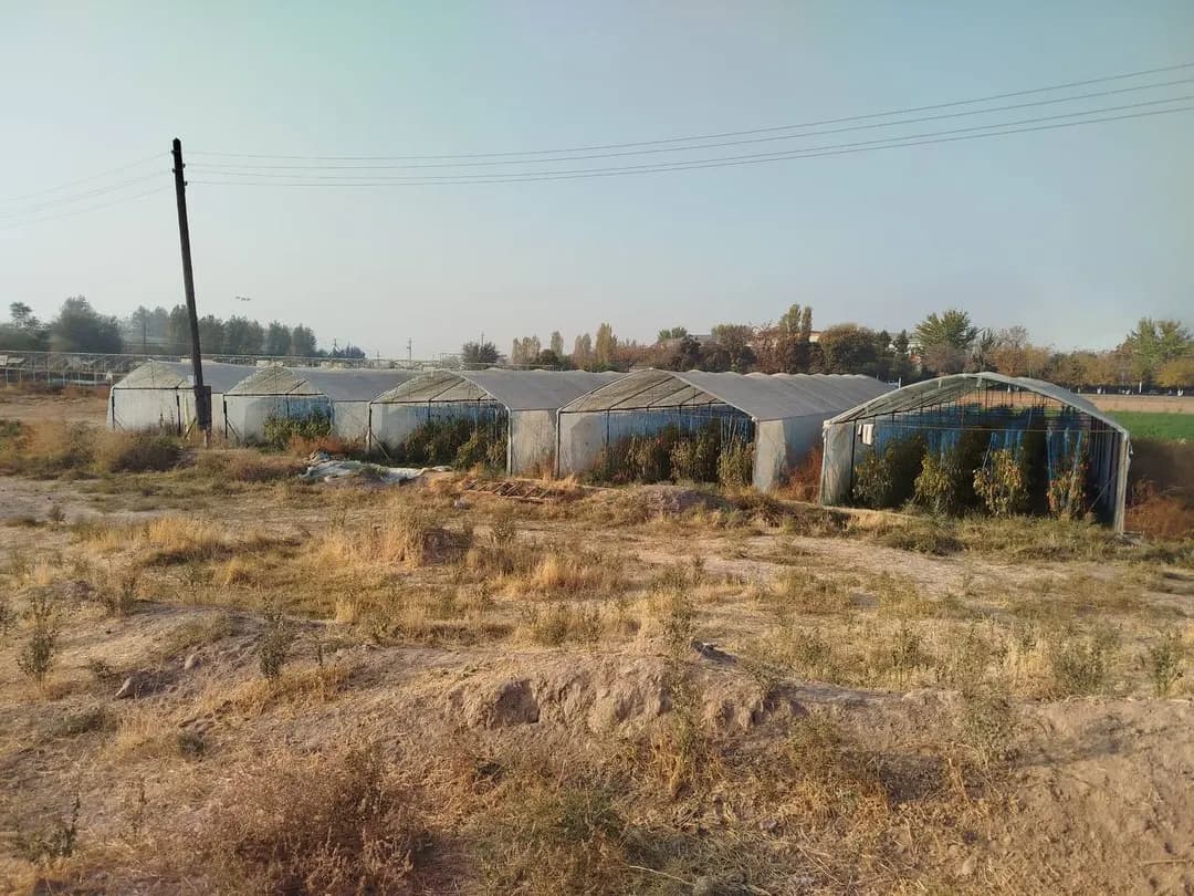 Parniklar sotiladi