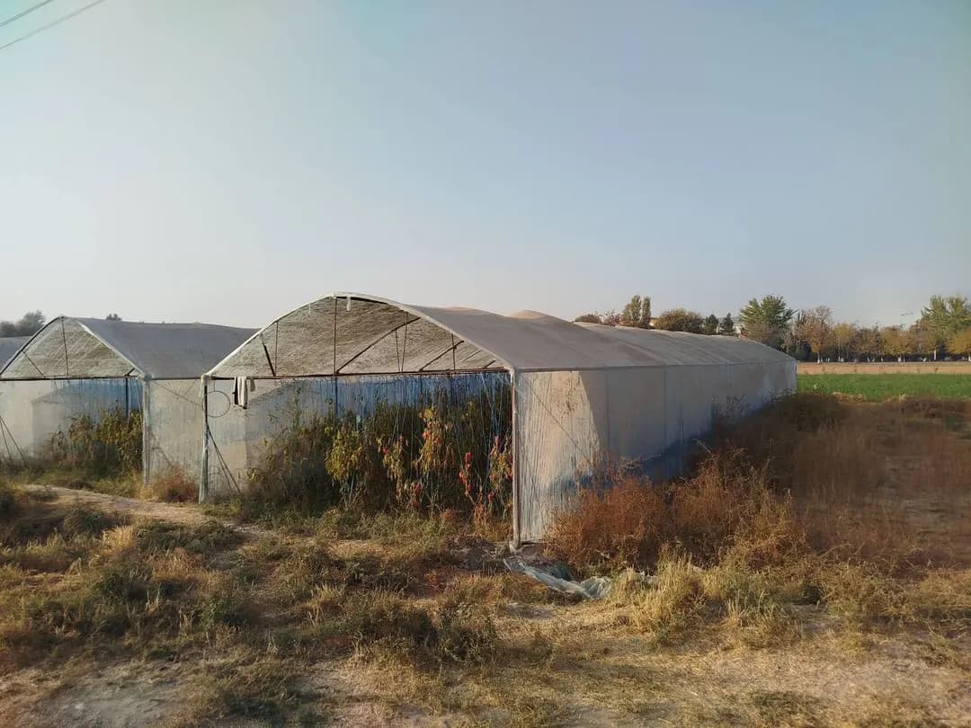 Parniklar sotiladi