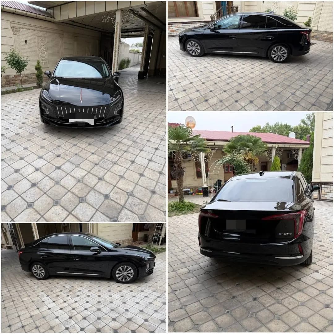 Hongqi EQM5