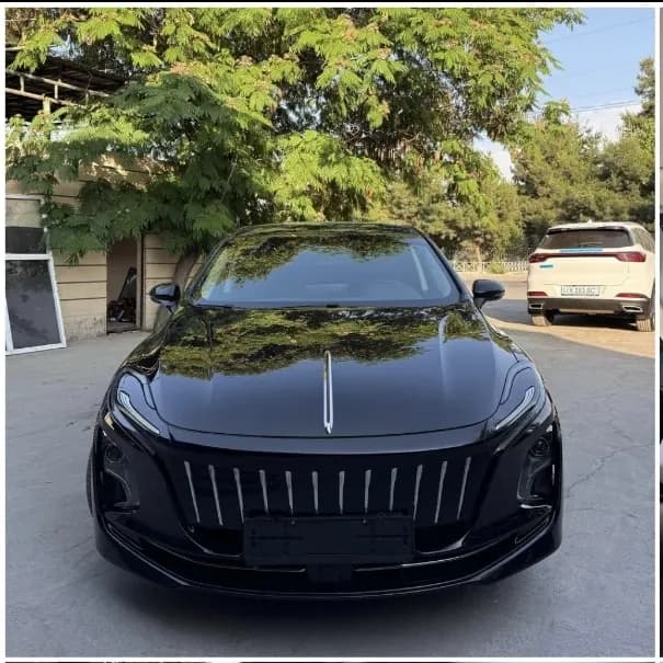 Hongqi E-QM5 сотилади