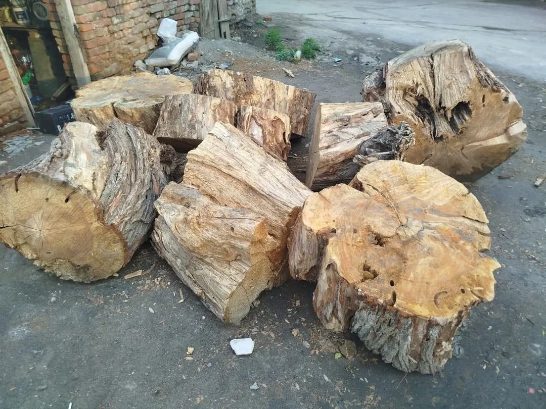 UTINLAR продается