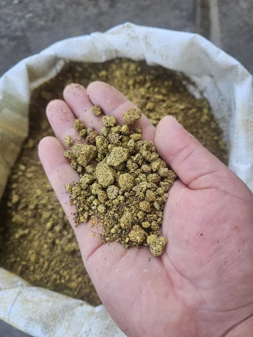 FAYZ AGRO  Raps shroti sifati zo'r