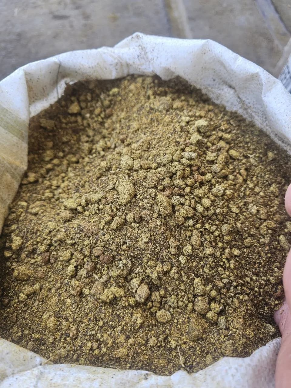 FAYZ AGRO  Raps shroti sifati zo'r
