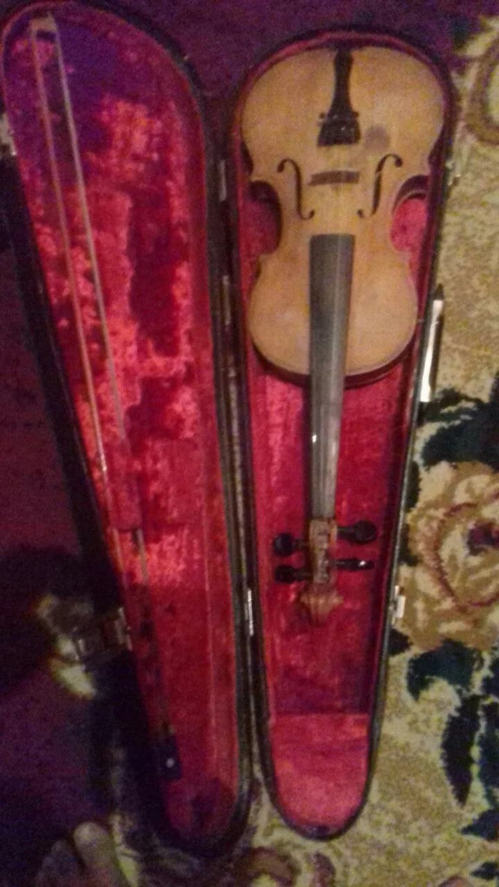 Skripka