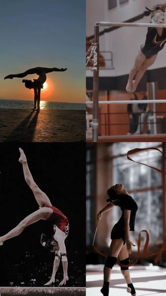 Gimnastika murabbiyi yoʻnalishi boʻyicha malakali mutaxassisni taklif etadi.