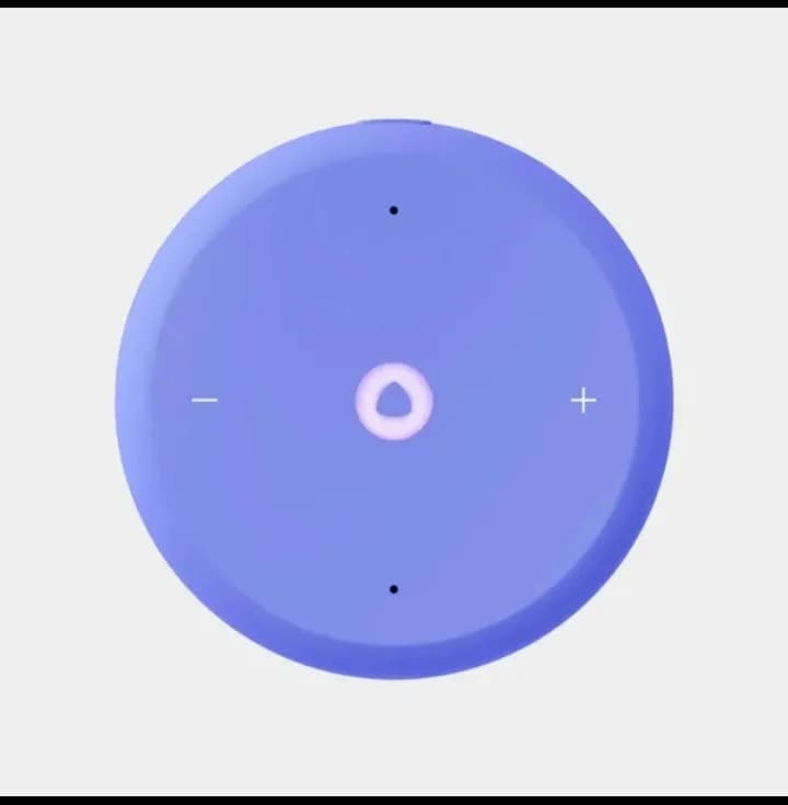 Smart Speaker