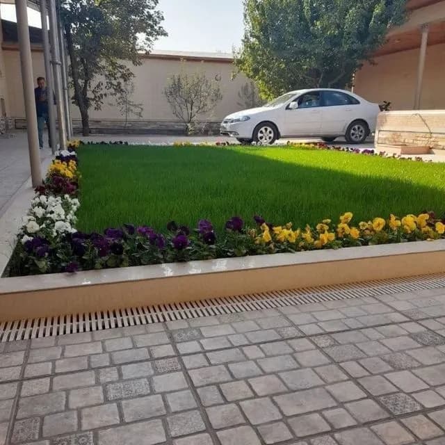 archa kesish gazon ekish lanshaf palif vadapad xizmati bor 938219090