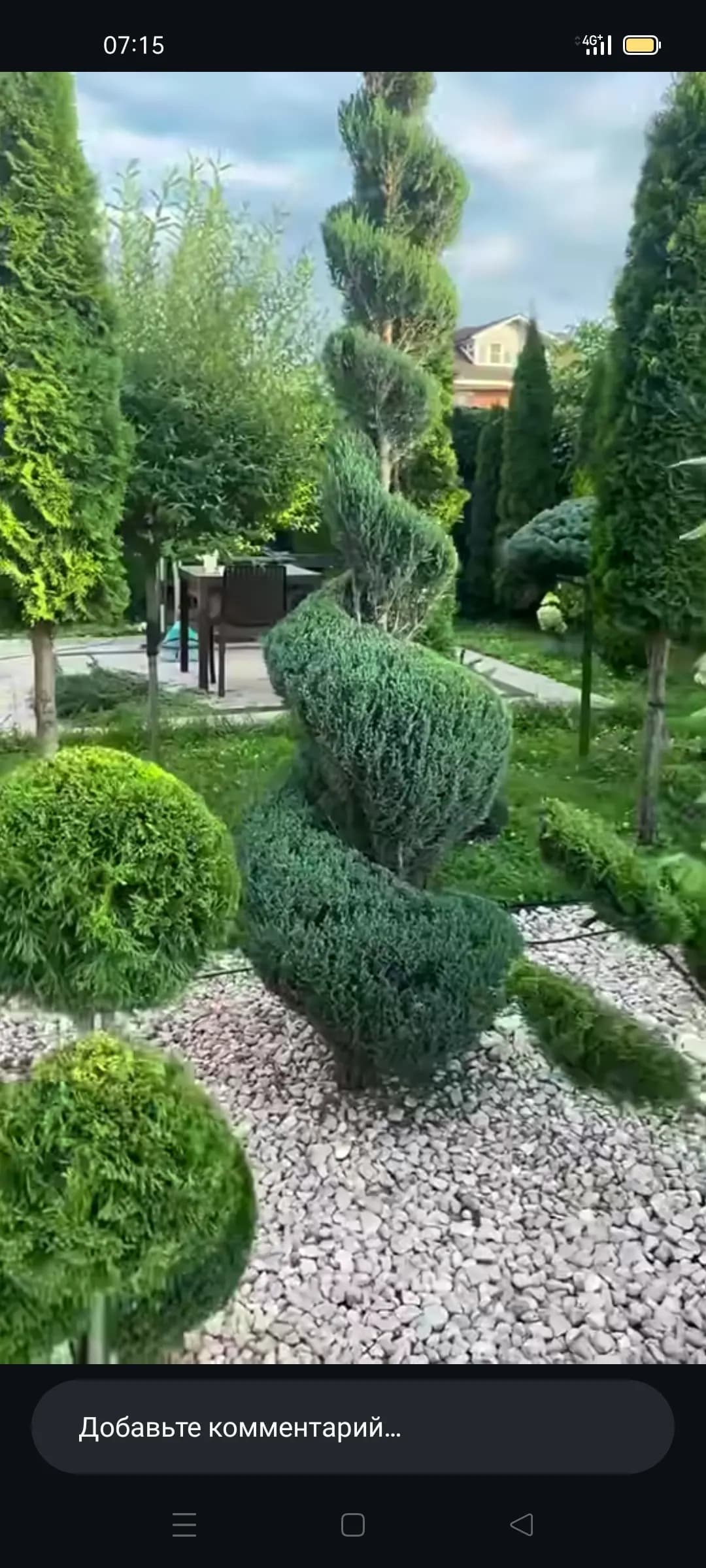 archa kesish gazon ekish lanshaf palif vadapad xizmati bor 938219090