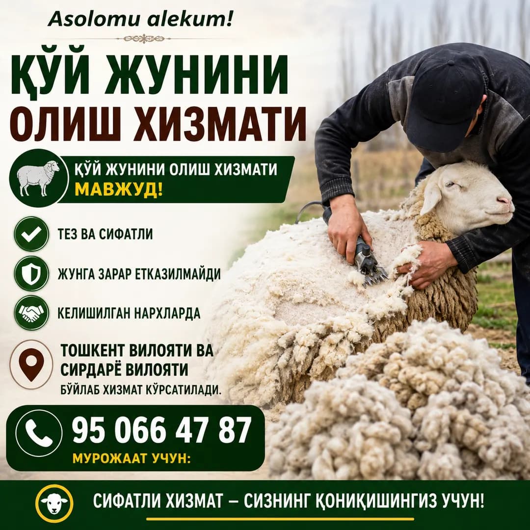 Qo'y junini olish xizmati