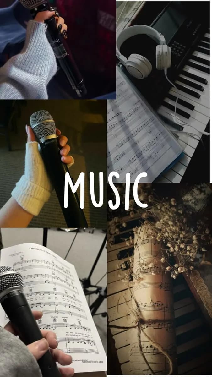 A female vocalist is being sought for a newly formed professional duet group.
