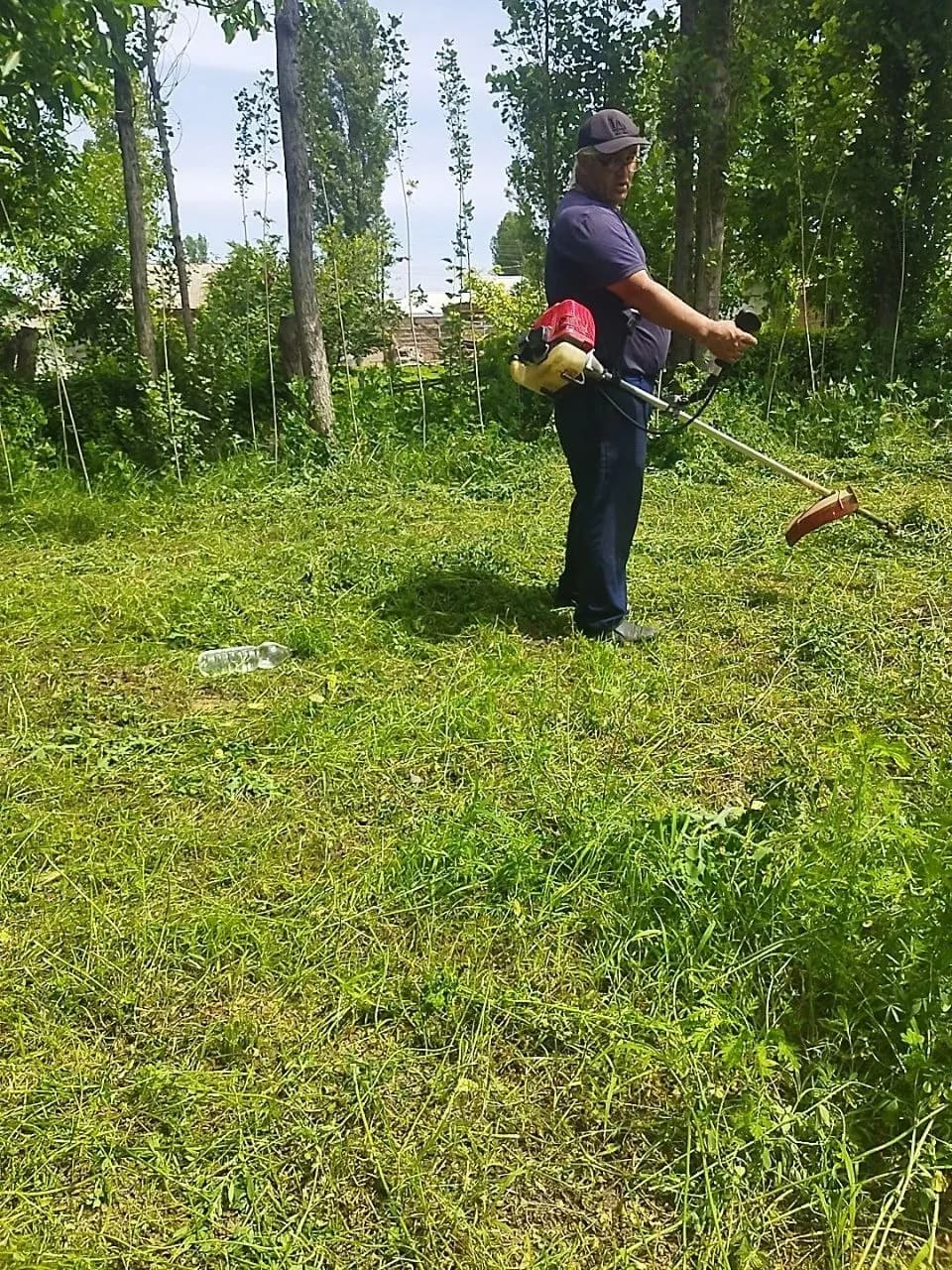 Alfalfa Reaping Service