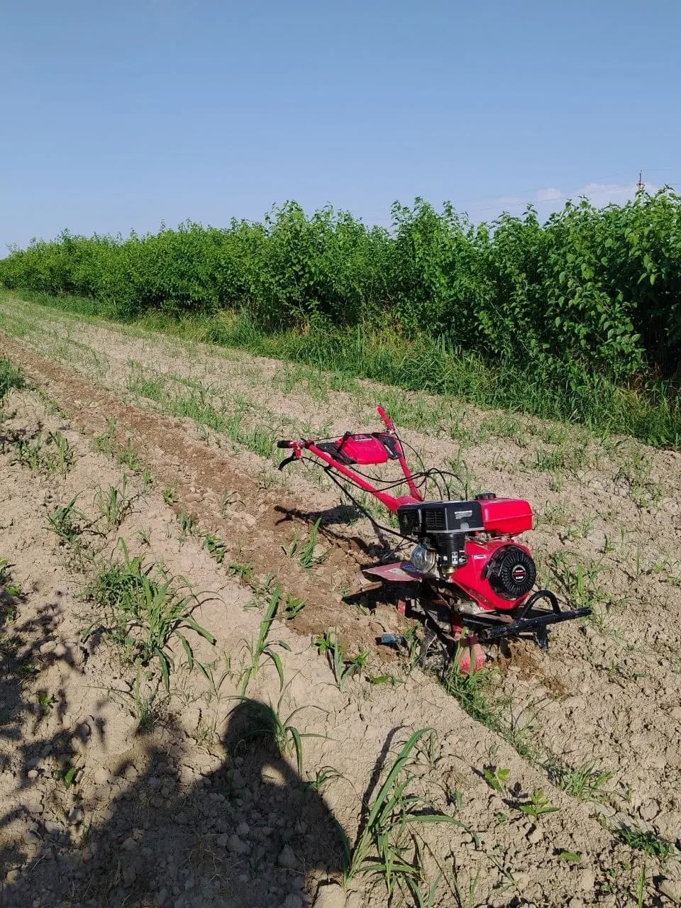 Ploughing