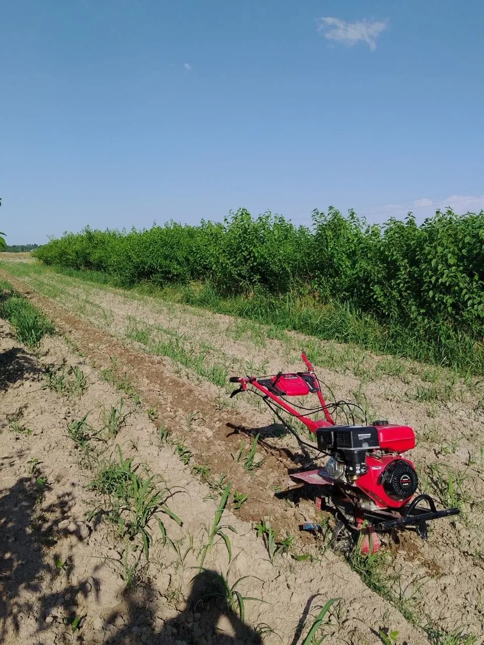 Ploughing