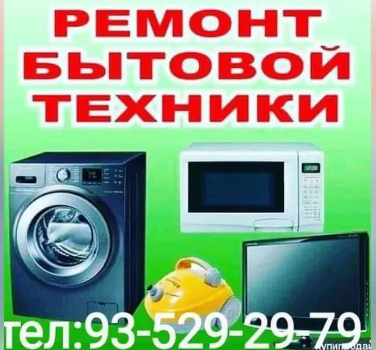 TV ustasi va kirmoshina ustasi