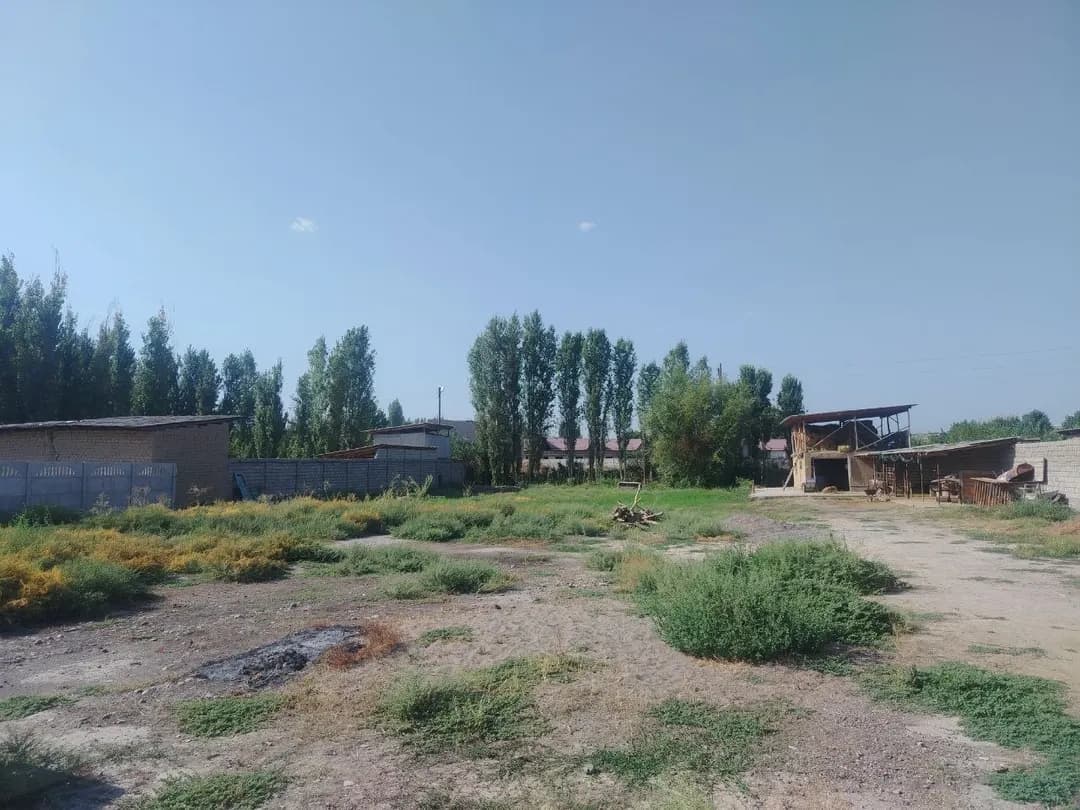 Пустующие участки 5.9
