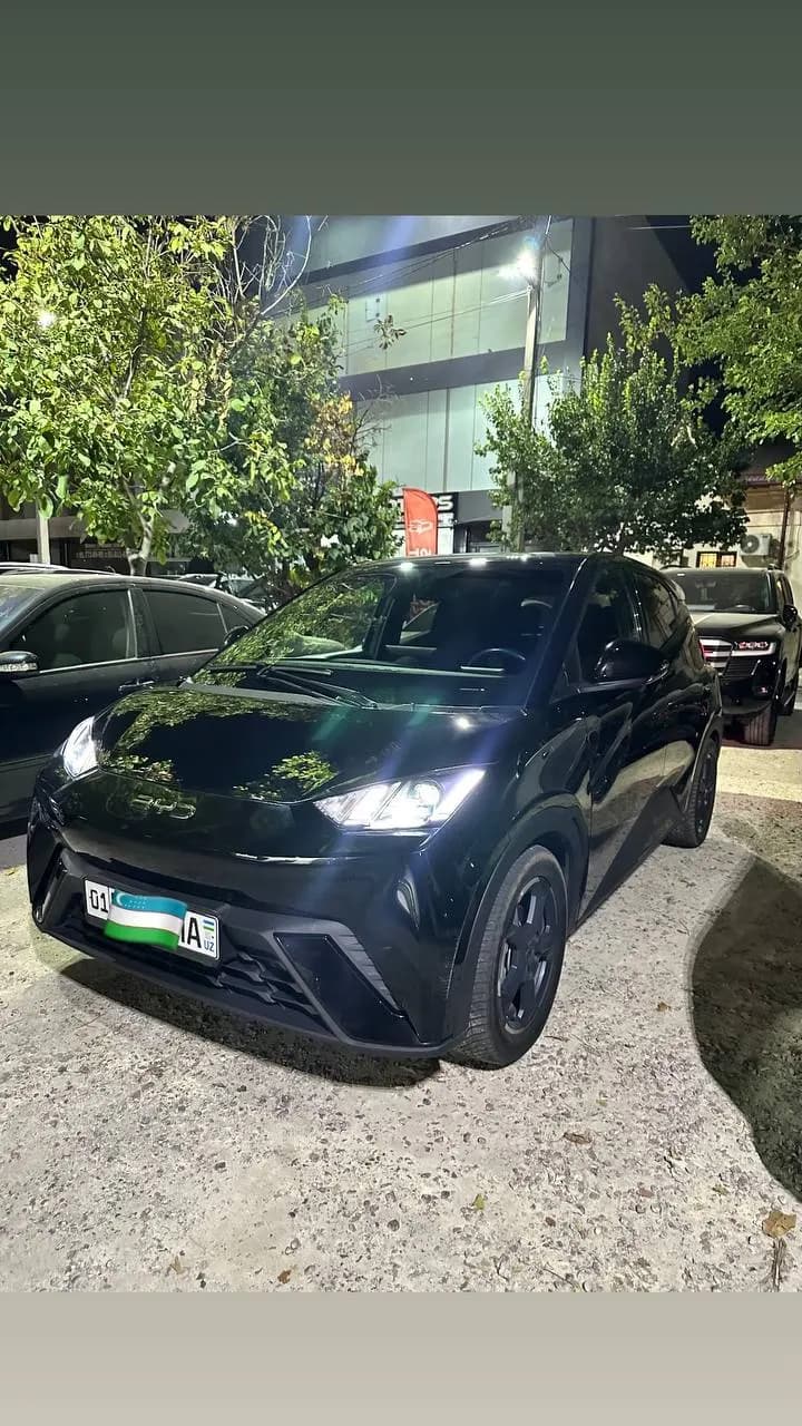 BYD SEAGULL sotiladi
