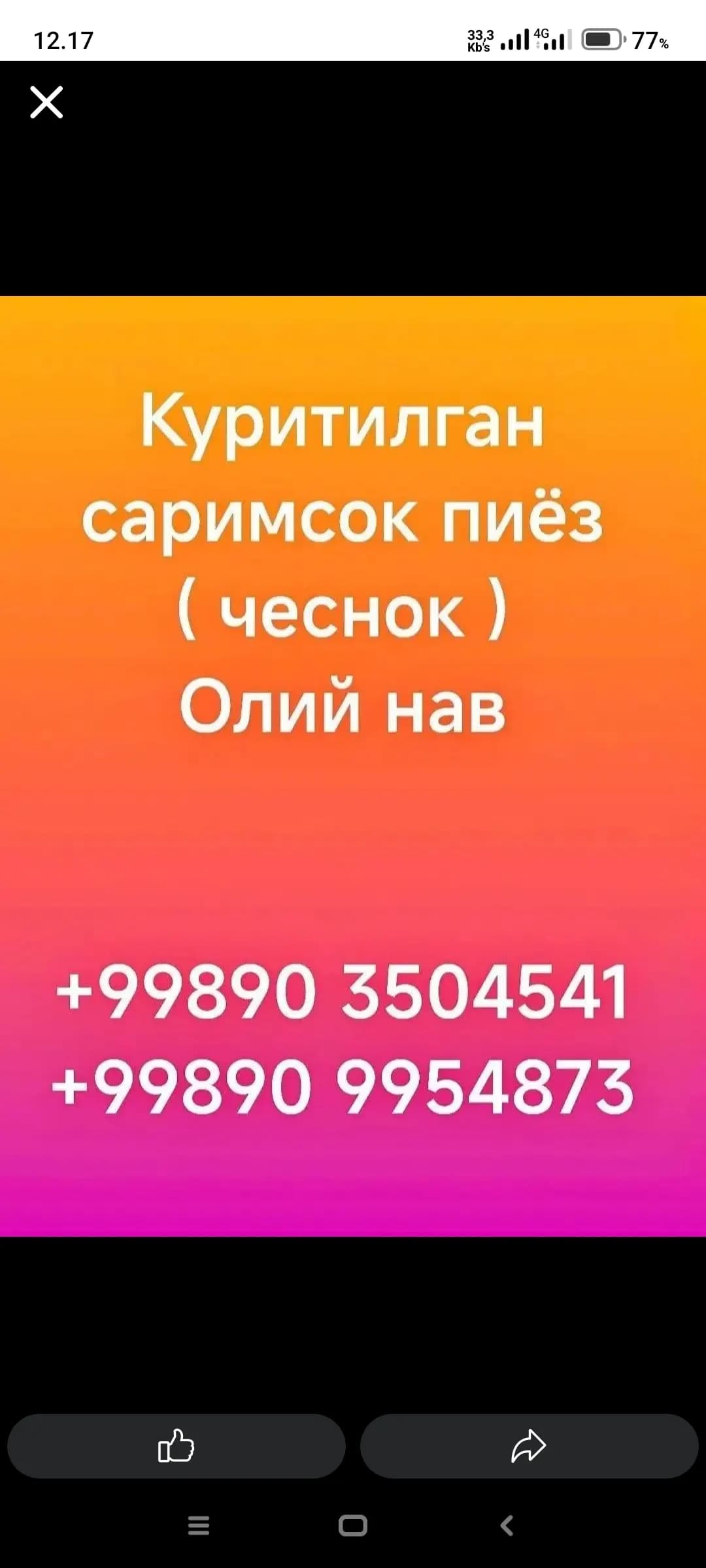 Kuritilgan sarimsoq (oliy nav)