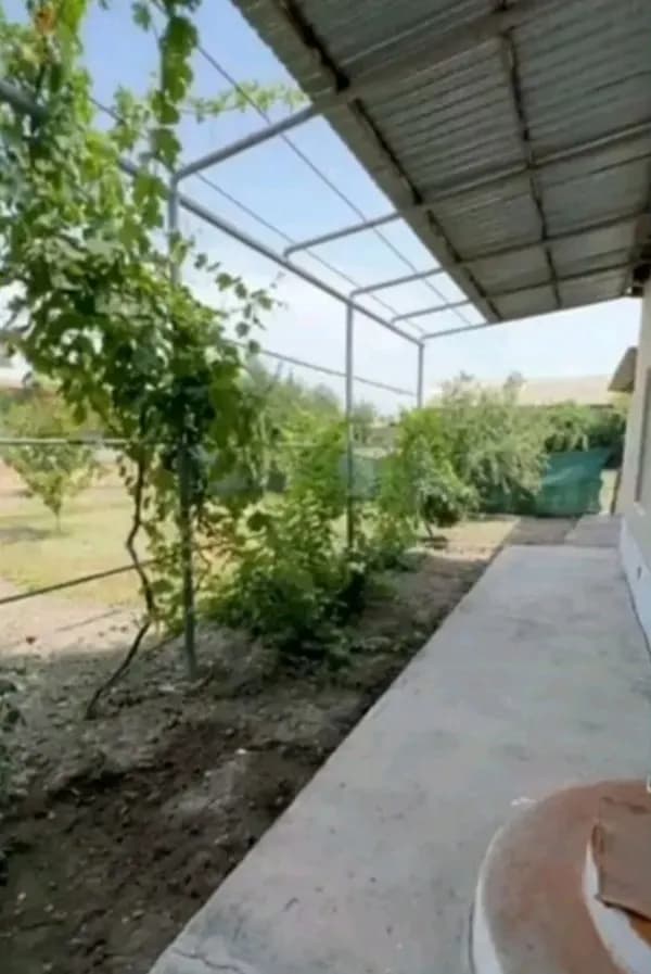 1 ta yo'nalish 10 akr, fasad 18m Shahar Markazid