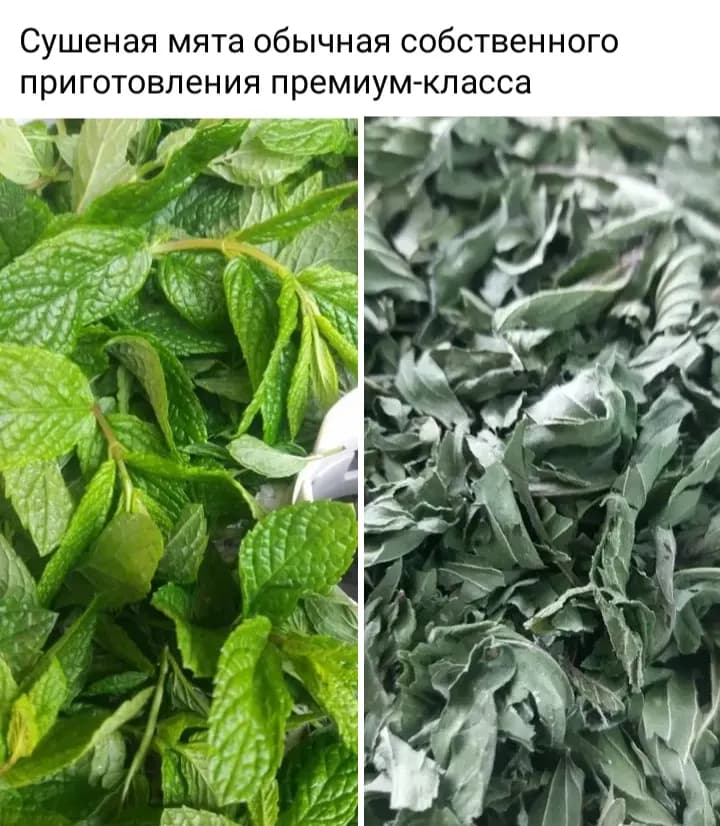 Сушёная мята премиум класса (только листья)