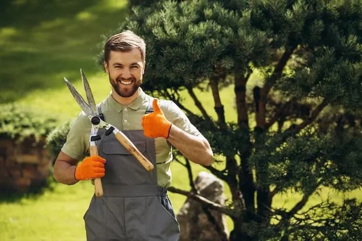 Experienced gardener needed