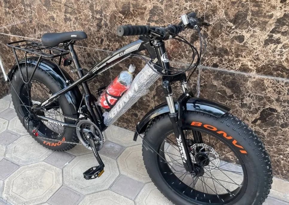 New bike size 20 wide balloon