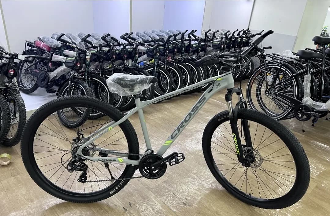 Cross 29 Bicycle